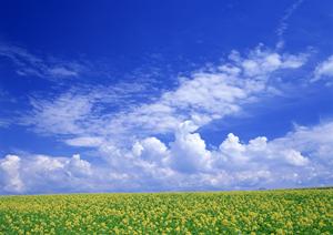 【公式】家族葬のタクセル新緑町：栃木県那須塩原市の安心できる家族葬専門斎場