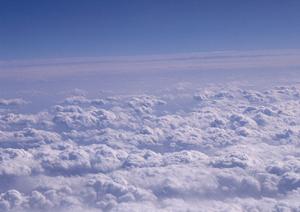 静岡市で信頼の葬儀壇を提供する富士葬祭清水の詳細情報と特徴